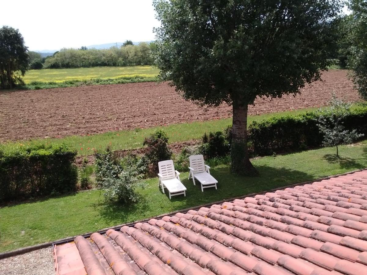 Agriturismo La Ripa Villa Reggello Ngoại thất bức ảnh